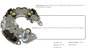 Imagen de PLACA RECTIFICADORA GM S10 2.5 15. . . DODGE JOURNEY 3.6 V6